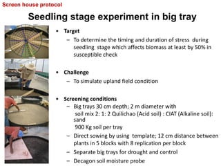 Overview of ciat vision on wue & nue