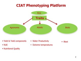 Overview of ciat vision on wue & nue
