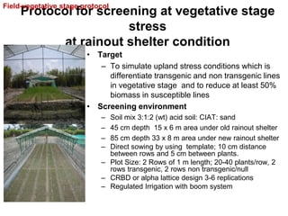 Overview of ciat vision on wue & nue
