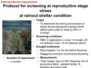 Overview of ciat vision on wue & nue