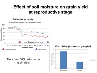 Overview of ciat vision on wue & nue