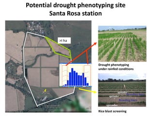 Overview of ciat vision on wue & nue