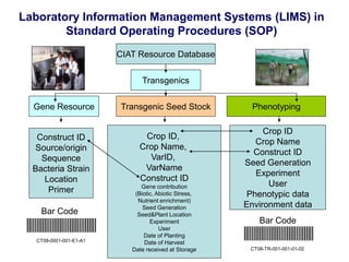 Overview of ciat vision on wue & nue
