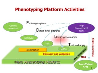 Overview of ciat vision on wue & nue