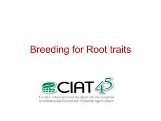 Overview of ciat vision on wue & nue