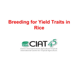 Overview of ciat vision on wue & nue