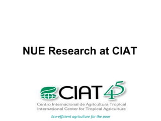 Overview of ciat vision on wue & nue