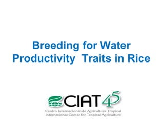 Overview of ciat vision on wue & nue