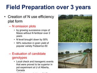 Overview of ciat vision on wue & nue