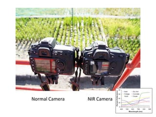Overview of ciat vision on wue & nue