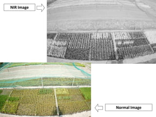 Overview of ciat vision on wue & nue