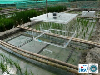 Overview of ciat vision on wue & nue