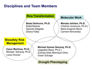 Overview of ciat vision on wue & nue