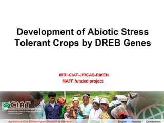 Overview of ciat vision on wue & nue