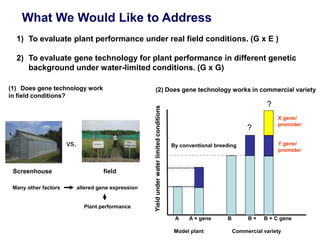 Overview of ciat vision on wue & nue
