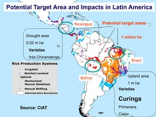 Overview of ciat vision on wue & nue