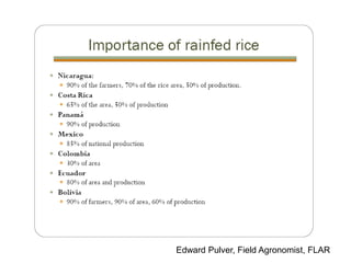 Overview of ciat vision on wue & nue