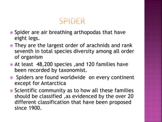 Overview Of Classification Of Arthopoda Ppt Overview Of Classification Of Arthopoda Ppt