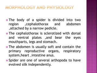 Overview Of Classification Of Arthopoda Ppt Overview Of Classification Of Arthopoda Ppt