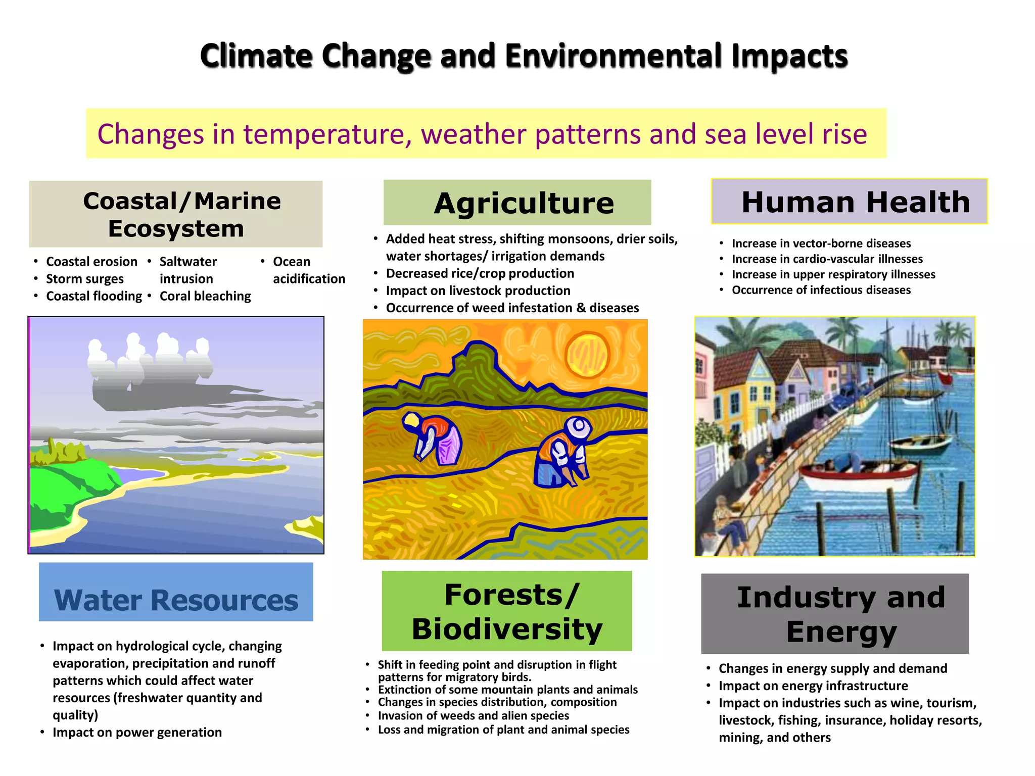 Water Resources
Climate Change and Environmental Impacts
Changes in temperature, weather patterns and sea level rise
Agriculture
Forests/
Biodiversity
Coastal/Marine
Ecosystem
Human Health
Industry and
Energy
• Added heat stress, shifting monsoons, drier soils,
water shortages/ irrigation demands
• Decreased rice/crop production
• Impact on livestock production
• Occurrence of weed infestation & diseases
• Coastal erosion
• Storm surges
• Coastal flooding
• Saltwater
intrusion
• Coral bleaching
• Ocean
acidification
• Increase in vector-borne diseases
• Increase in cardio-vascular illnesses
• Increase in upper respiratory illnesses
• Occurrence of infectious diseases
• Impact on hydrological cycle, changing
evaporation, precipitation and runoff
patterns which could affect water
resources (freshwater quantity and
quality)
• Impact on power generation
• Shift in feeding point and disruption in flight
patterns for migratory birds.
• Extinction of some mountain plants and animals
• Changes in species distribution, composition
• Invasion of weeds and alien species
• Loss and migration of plant and animal species
• Changes in energy supply and demand
• Impact on energy infrastructure
• Impact on industries such as wine, tourism,
livestock, fishing, insurance, holiday resorts,
mining, and others
 