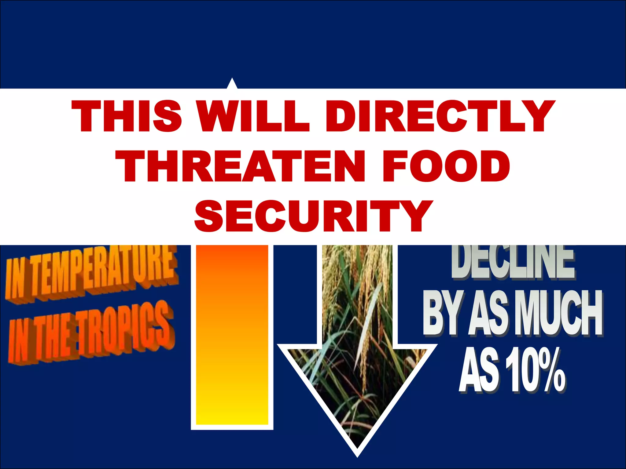 THIS WILL DIRECTLY
THREATEN FOOD
SECURITY
 
