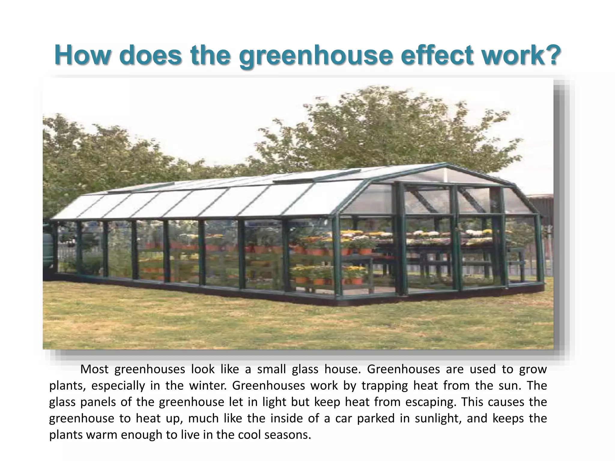 Most greenhouses look like a small glass house. Greenhouses are used to grow
plants, especially in the winter. Greenhouses work by trapping heat from the sun. The
glass panels of the greenhouse let in light but keep heat from escaping. This causes the
greenhouse to heat up, much like the inside of a car parked in sunlight, and keeps the
plants warm enough to live in the cool seasons.
How does the greenhouse effect work?
 