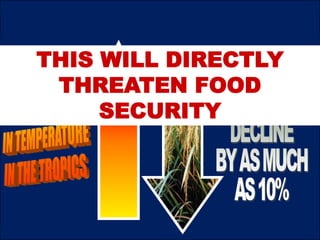 THIS WILL DIRECTLY
THREATEN FOOD
SECURITY
 