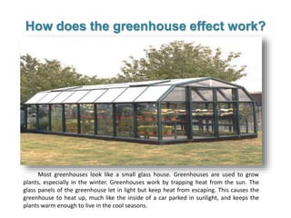 Most greenhouses look like a small glass house. Greenhouses are used to grow
plants, especially in the winter. Greenhouses work by trapping heat from the sun. The
glass panels of the greenhouse let in light but keep heat from escaping. This causes the
greenhouse to heat up, much like the inside of a car parked in sunlight, and keeps the
plants warm enough to live in the cool seasons.
How does the greenhouse effect work?
 