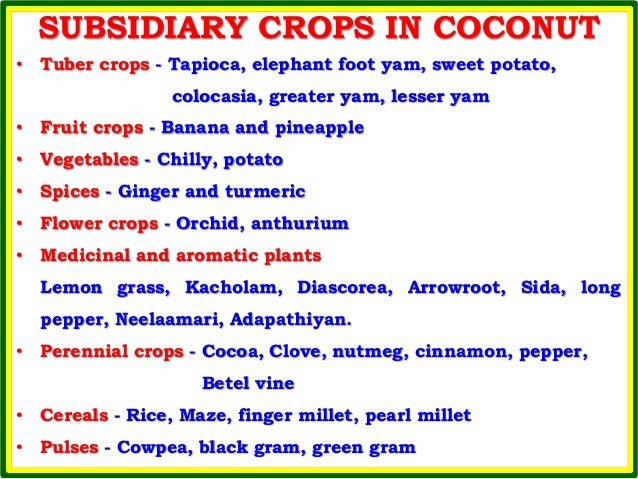 overview of the coconut industry In the coconut industry, downstream processing plays vital role as the different this article aims to review coconut processing and related issues with special. overview of the coconut industry In the coconut industry, downstream processing plays vital role as the different this article aims to review coconut processing and related issues with special.