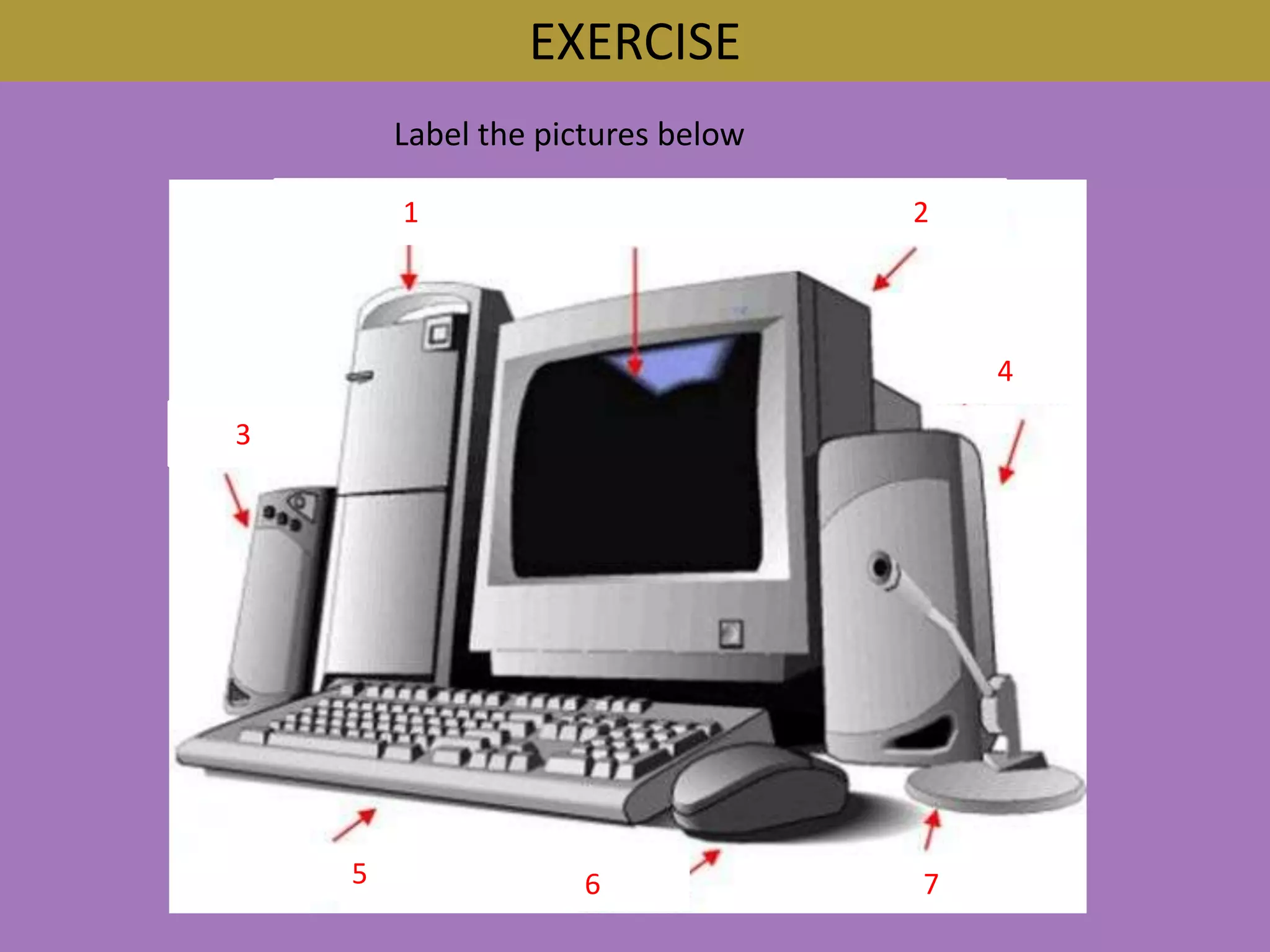 EXERCISELabel the pictures below 11 243567