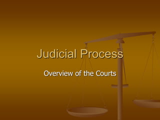 Overview of the Courts
Judicial Process
 