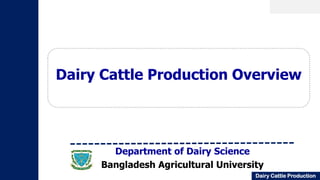Dairy Cattle Production
Department of Dairy Science
Bangladesh Agricultural University
Dairy Cattle Production Overview
 
