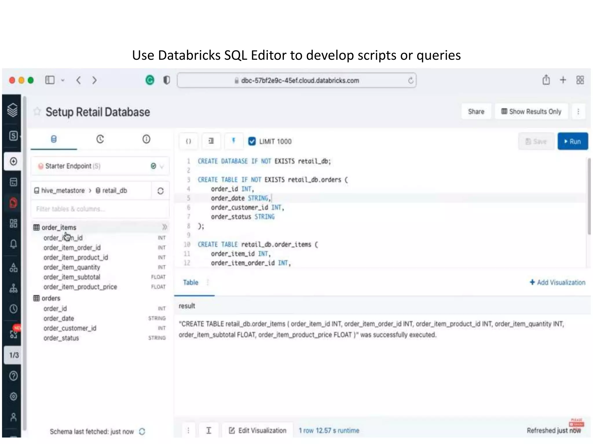 Use Databricks SQL Editor to develop scripts or queries
 