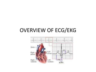 OVERVIEW OF ECG/EKG
 