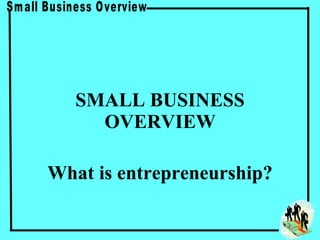 SMALL BUSINESS OVERVIEW What is entrepreneurship? 