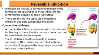 Overview of enzyme | PPTX
