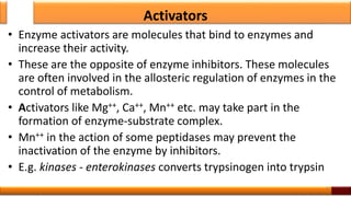 Overview of enzyme