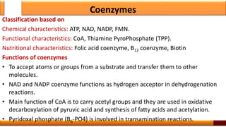 Overview of enzyme