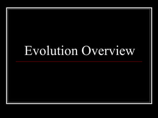 Evolution Overview 