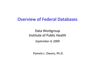 Overview of Federal Databases Data Workgroup Institute of Public Health September 4, 2009 Pamela L. Owens, Ph.D. 