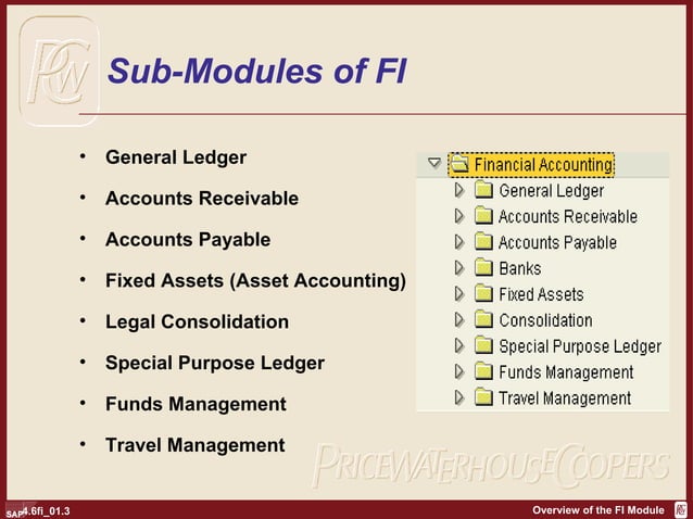 SAP Overview of FI | PPT | Stocks and Bonds | Personal Investing
