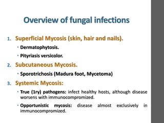 Overview of Fungal Infections | PDF