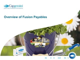 Overview of Fusion Payables
 