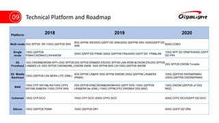 Overview of Gigalight | PPTX