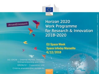 DG GROW – Internal Market, Industry
Entrepreneurship and SMEs
GROW/I2 – Copernicus Unit
Cristina.ananasso@ec.europa.eu
EU Space Week
Space Infoday Marseille
6/12/2018
 