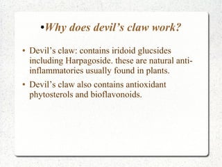 Devil Claw Function Herbs & their uses | ODP