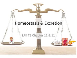 Homeostasis & Excretion LPK TB Chapter 12 & 11 1 