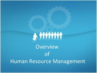 Overview  of  Human Resource Management 