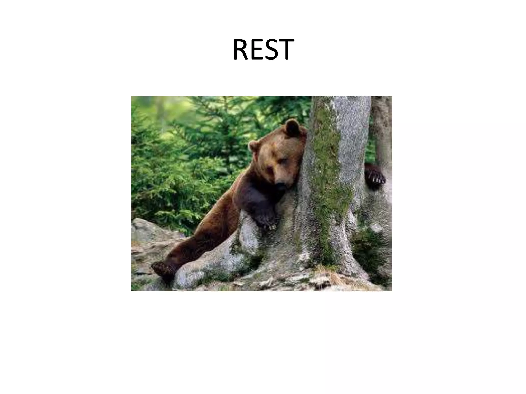 REST

 