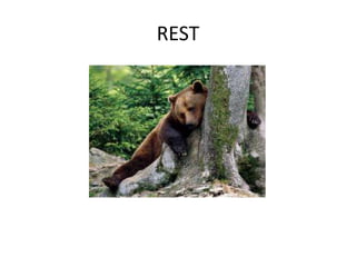 REST

 